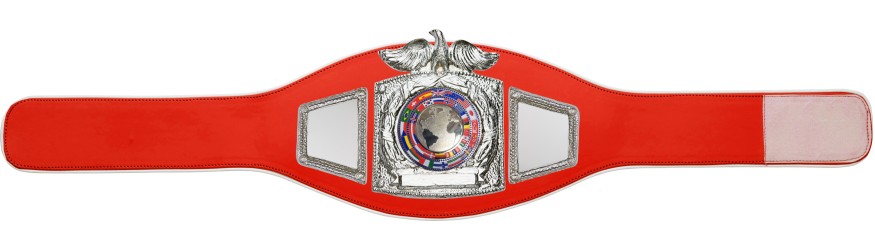 PROEAGLE SILVER WORLD FLAGS CHAMPIONSHIP BELT - PROEAGLE/S/FLAGS - AVAILABLE IN 6+ COLOURS